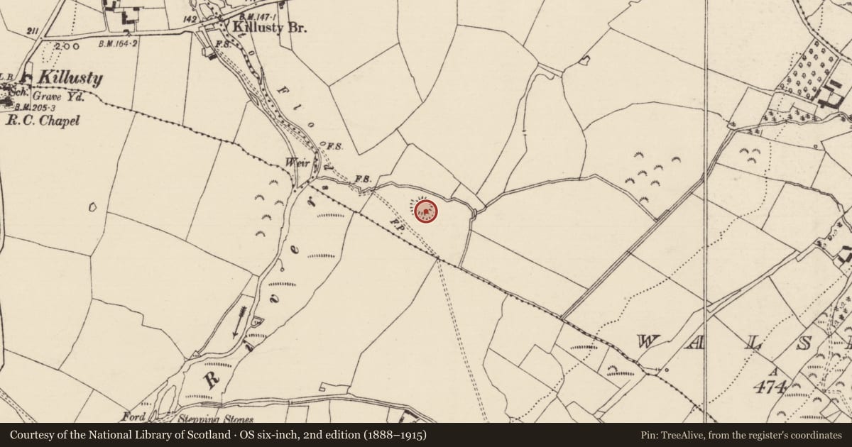 Ordnance Survey six-inch map, 2nd edition (1888–1915) covering the location of Ringfort - rath, Walshsbog, County Tipperary South, with a pin at the register's coordinates