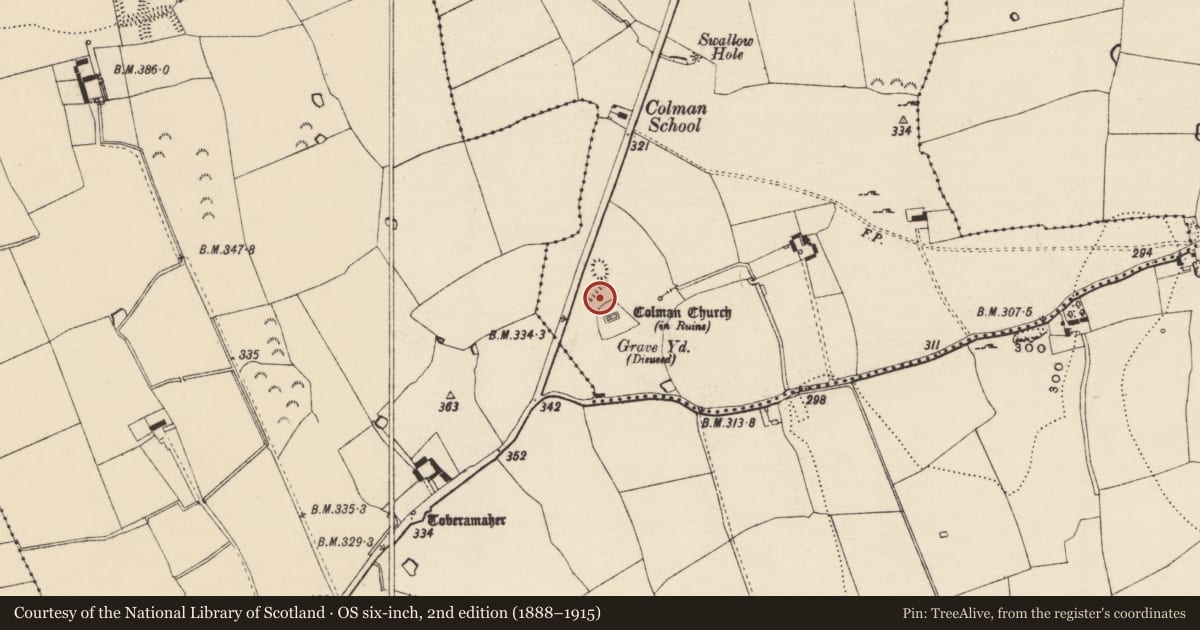 Ordnance Survey six-inch map, 2nd edition (1888–1915) covering the location of Enclosure, Colman (Hennessy), County Tipperary South, with a pin at the register's coordinates