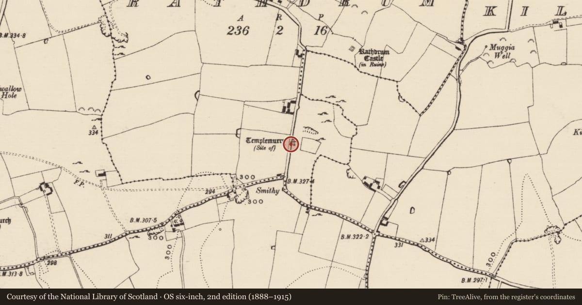 Ordnance Survey six-inch map, 2nd edition (1888–1915) covering the location of Graveyard, Rathdrum, County Tipperary South, with a pin at the register's coordinates