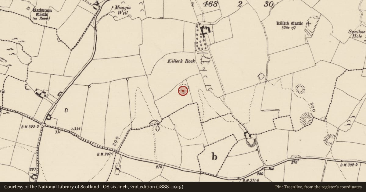 Ordnance Survey six-inch map, 2nd edition (1888–1915) covering the location of Moated site, Killerk North, County Tipperary South, with a pin at the register's coordinates