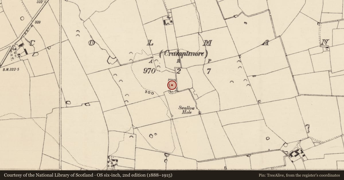 Ordnance Survey six-inch map, 2nd edition (1888–1915) covering the location of Moated site, Colman (Cramptmore), County Tipperary South, with a pin at the register's coordinates