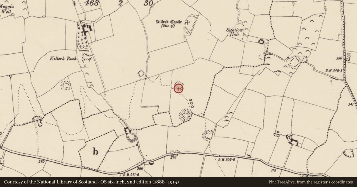 Ordnance Survey six-inch map, 2nd edition (1888–1915) covering the location of Enclosure, Killerk North, County Tipperary South, with a pin at the register's coordinates