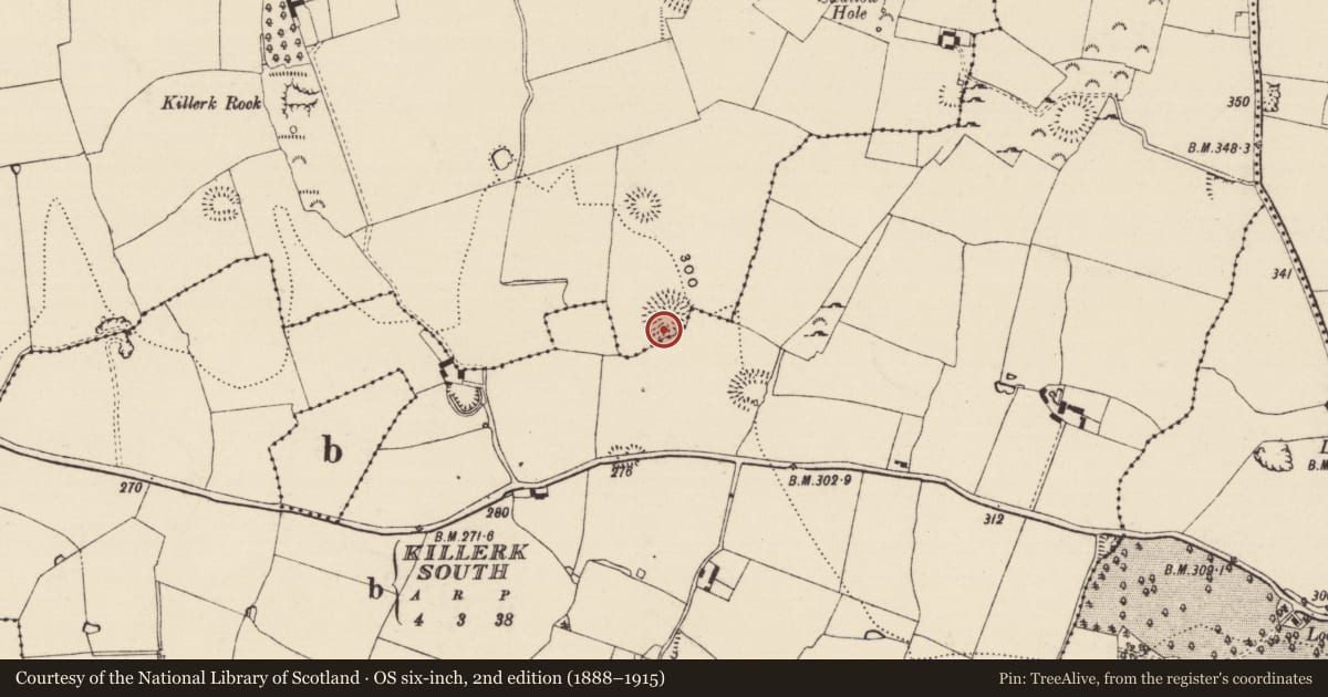 Ordnance Survey six-inch map, 2nd edition (1888–1915) covering the location of Enclosure, Jossestown, Killerk North, County Tipperary South, with a pin at the register's coordinates