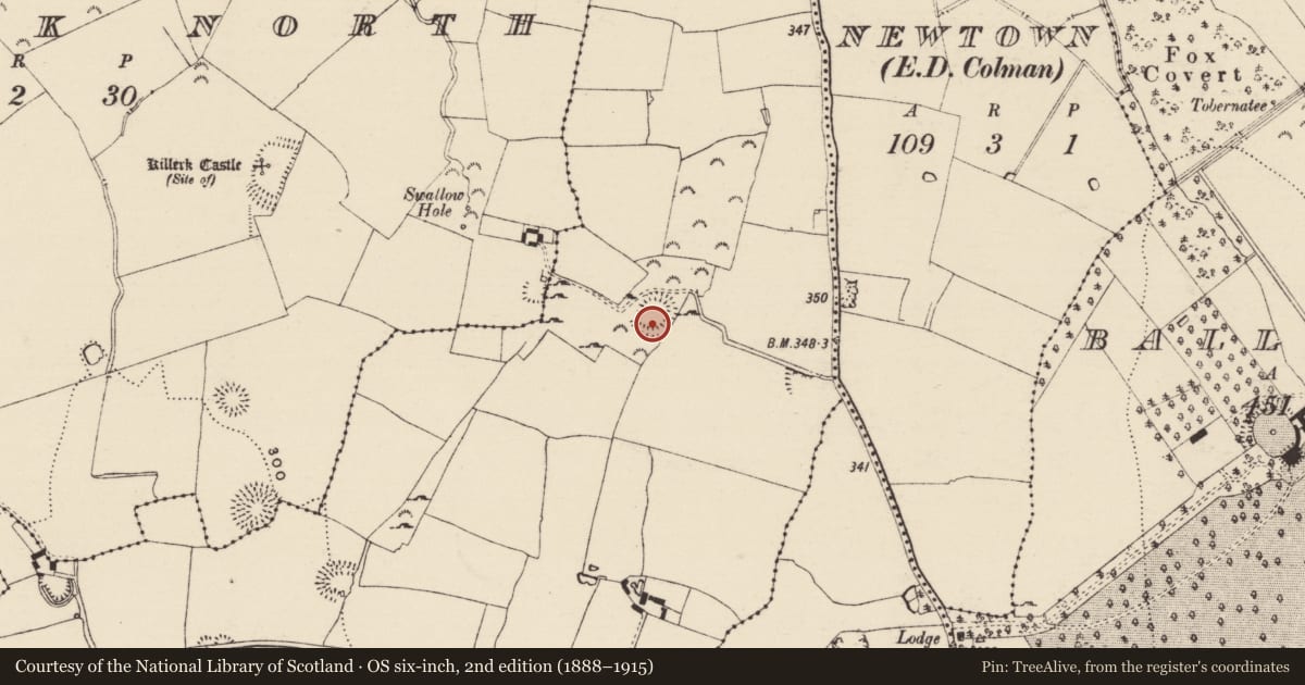 Ordnance Survey six-inch map, 2nd edition (1888–1915) covering the location of Enclosure, Jossestown, County Tipperary South, with a pin at the register's coordinates