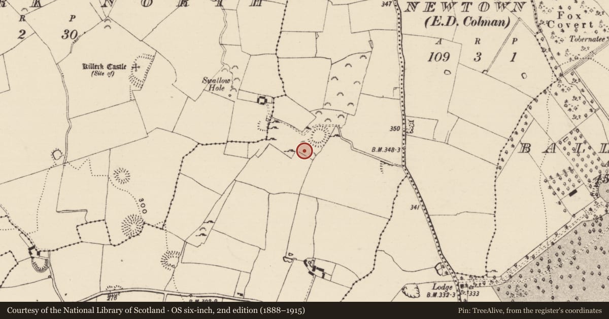 Ordnance Survey six-inch map, 2nd edition (1888–1915) covering the location of Enclosure, Jossestown, County Tipperary South, with a pin at the register's coordinates