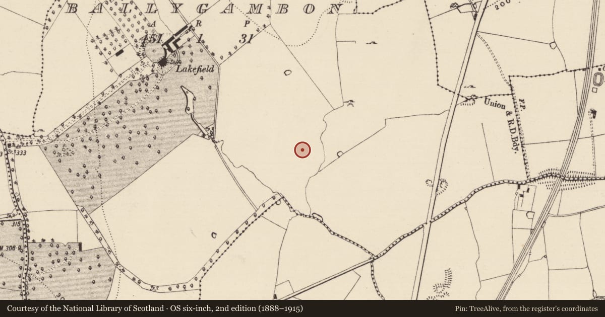 Ordnance Survey six-inch map, 2nd edition (1888–1915) covering the location of Earthwork, Ballygambon, County Tipperary South, with a pin at the register's coordinates