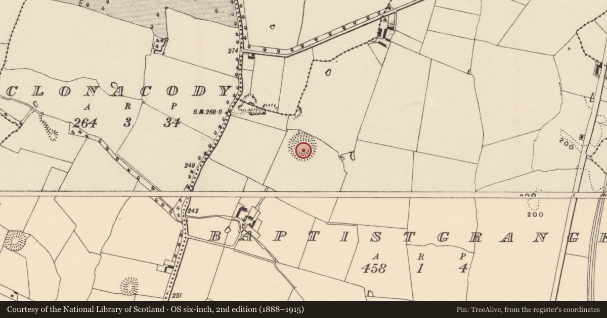 Ordnance Survey six-inch map, 2nd edition (1888–1915) covering the location of Ringfort - rath, Baptistgrange, County Tipperary South, with a pin at the register's coordinates