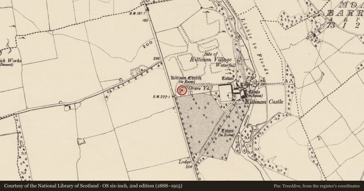 Ordnance Survey six-inch map, 2nd edition (1888–1915) covering the location of Sheela-na-gig, Kiltinan, County Tipperary South, with a pin at the register's coordinates