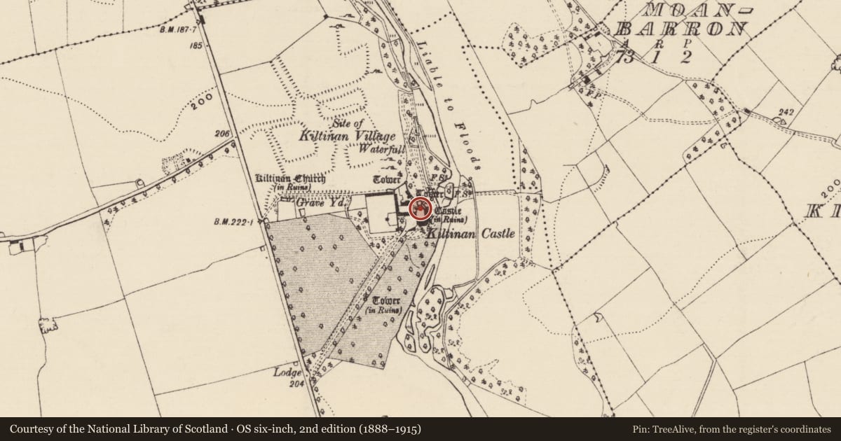 Ordnance Survey six-inch map, 2nd edition (1888–1915) covering the location of Castle - Anglo-Norman masonry castle, Kiltinan, County Tipperary South, with a pin at the register's coordinates
