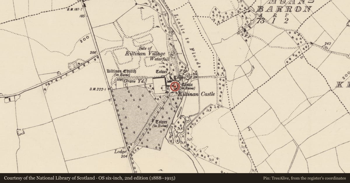Ordnance Survey six-inch map, 2nd edition (1888–1915) covering the location of Bawn, Kiltinan, County Tipperary South, with a pin at the register's coordinates