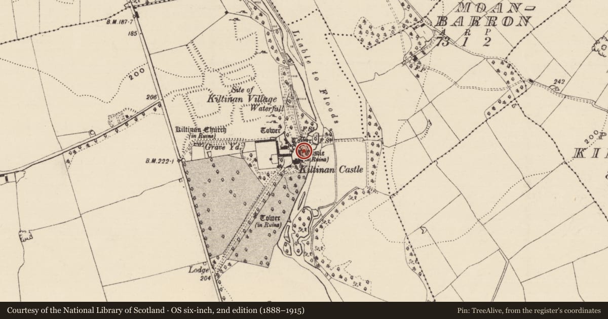 Ordnance Survey six-inch map, 2nd edition (1888–1915) covering the location of Sheela-na-gig (present location), Kiltinan, County Tipperary South, with a pin at the register's coordinates