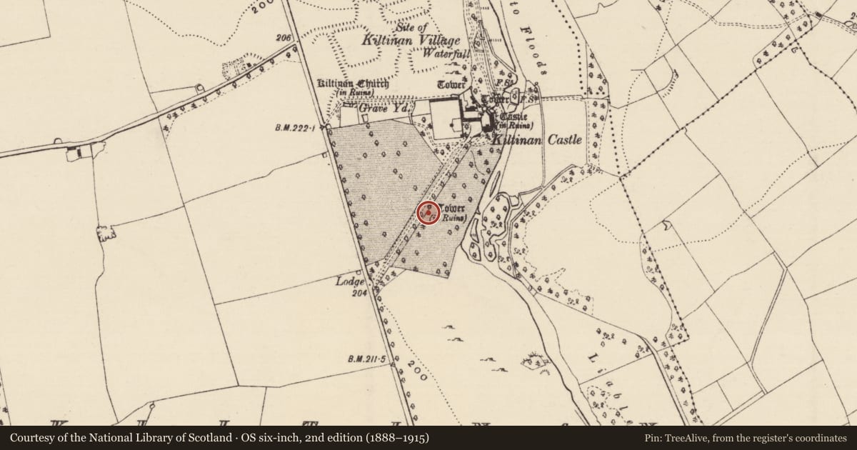 Ordnance Survey six-inch map, 2nd edition (1888–1915) covering the location of Dovecote, Kiltinan, County Tipperary South, with a pin at the register's coordinates
