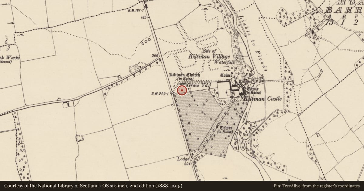 Ordnance Survey six-inch map, 2nd edition (1888–1915) covering the location of Graveslab, Kiltinan, County Tipperary South, with a pin at the register's coordinates