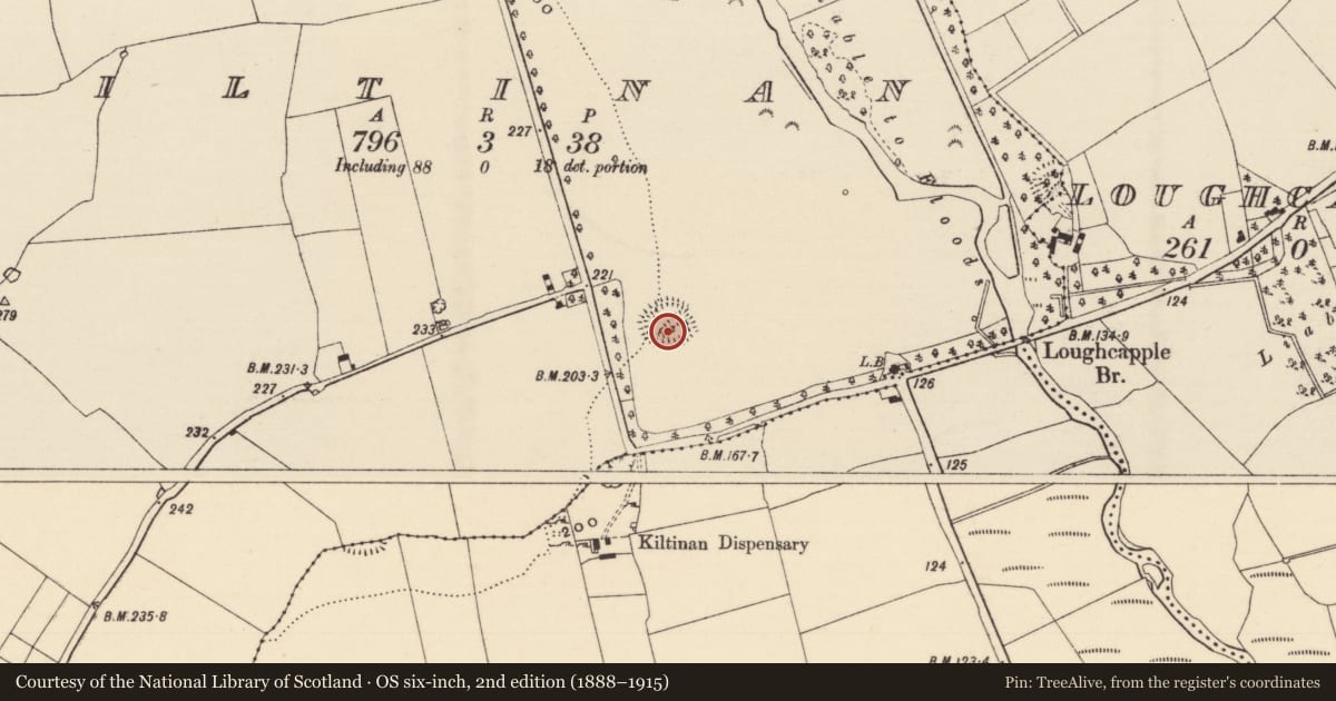 Ordnance Survey six-inch map, 2nd edition (1888–1915) covering the location of Enclosure, Kiltinan, County Tipperary South, with a pin at the register's coordinates
