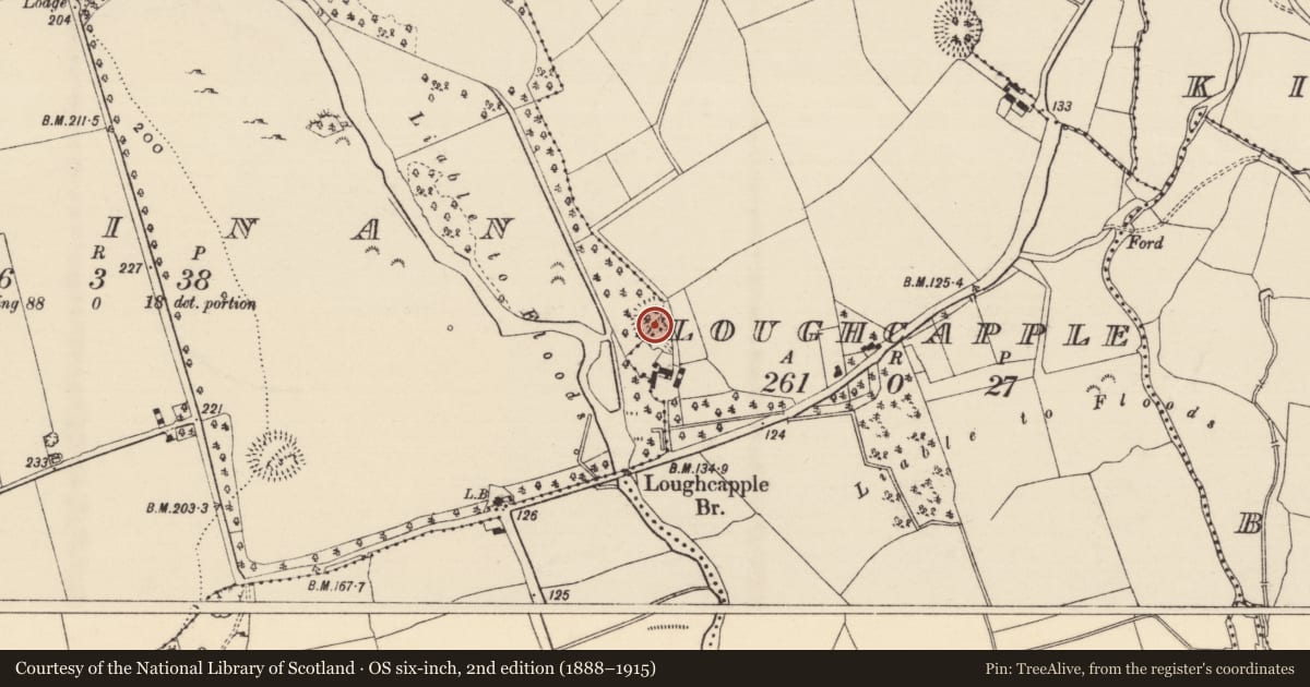 Ordnance Survey six-inch map, 2nd edition (1888–1915) covering the location of Enclosure, Kiltinan, Loughcapple, County Tipperary South, with a pin at the register's coordinates