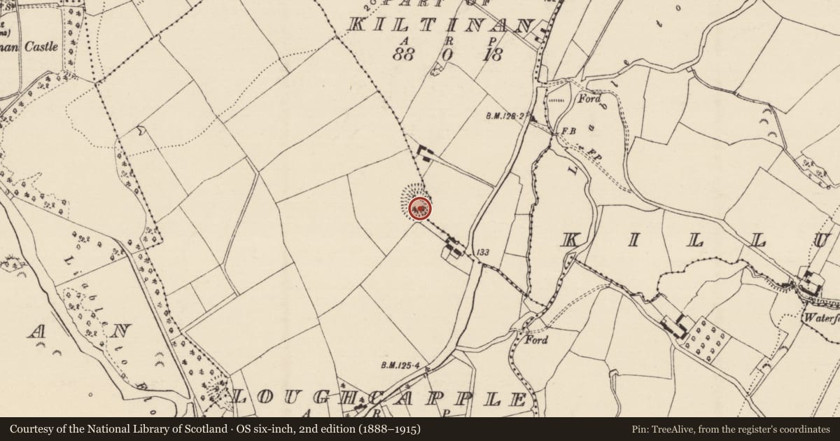 Ordnance Survey six-inch map, 2nd edition (1888–1915) covering the location of Ringfort - rath, Kiltinan, Loughcapple, County Tipperary South, with a pin at the register's coordinates