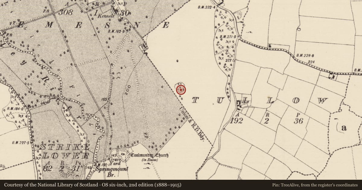 Ordnance Survey six-inch map, 2nd edition (1888–1915) covering the location of Enclosure, Tullow (Kiltinan Par.), County Tipperary South, with a pin at the register's coordinates