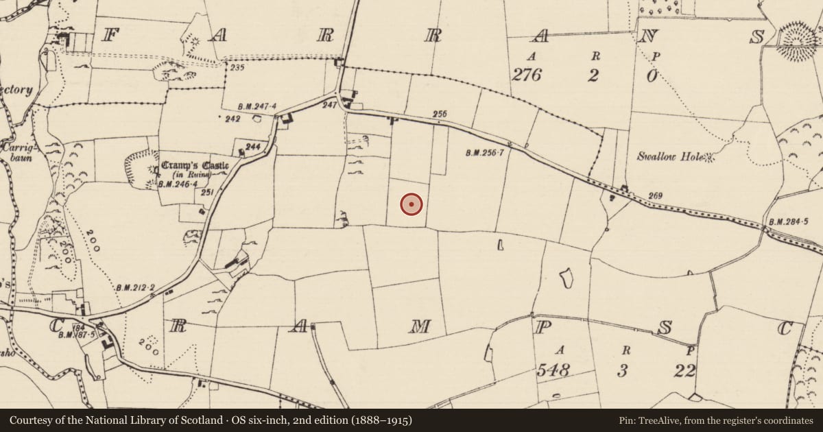 Ordnance Survey six-inch map, 2nd edition (1888–1915) covering the location of Enclosure, Crampscastle, County Tipperary South, with a pin at the register's coordinates