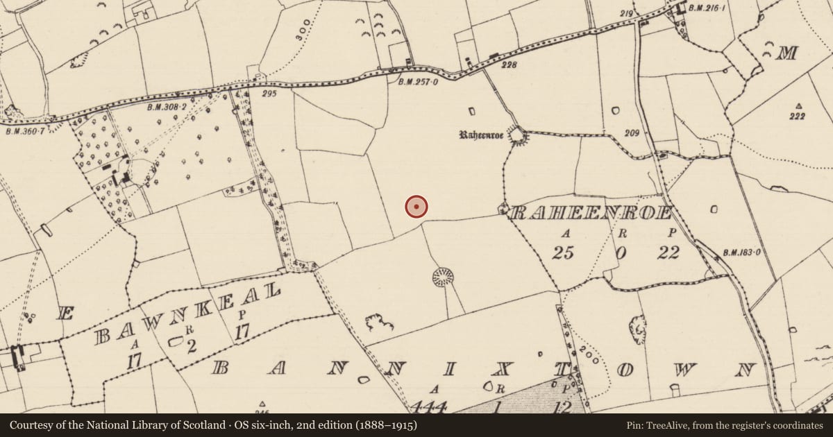 Ordnance Survey six-inch map, 2nd edition (1888–1915) covering the location of Enclosure, Bannixtown, County Tipperary South, with a pin at the register's coordinates