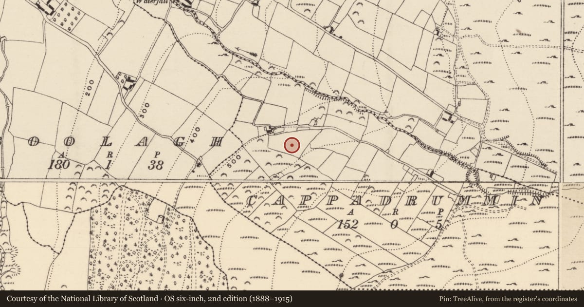 Ordnance Survey six-inch map, 2nd edition (1888–1915) covering the location of Enclosure, Cappadrummin, County Tipperary South, with a pin at the register's coordinates