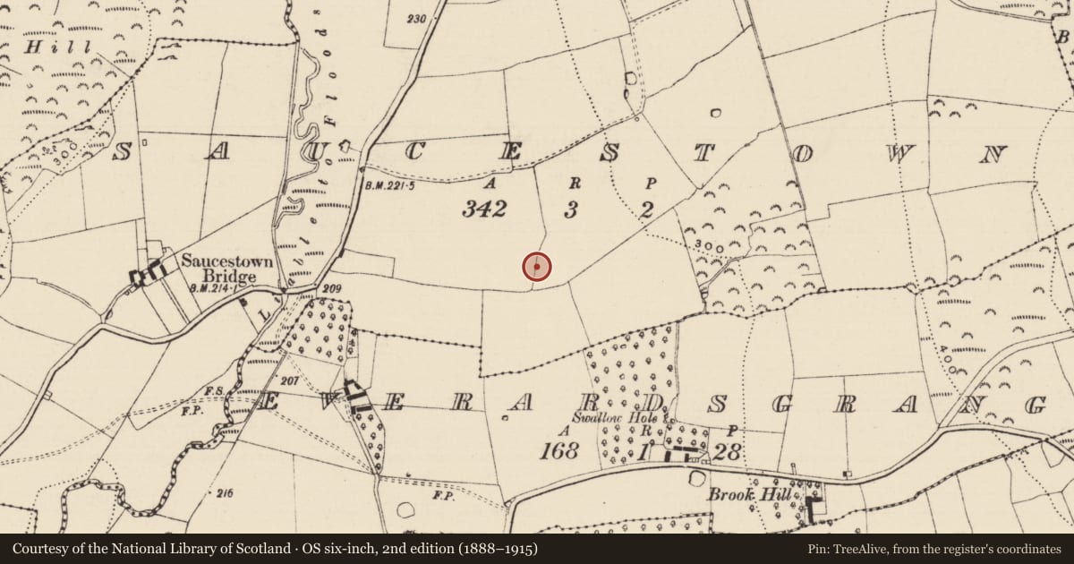 Ordnance Survey six-inch map, 2nd edition (1888–1915) covering the location of Enclosure, Saucestown (Rathcool Par.), County Tipperary South, with a pin at the register's coordinates