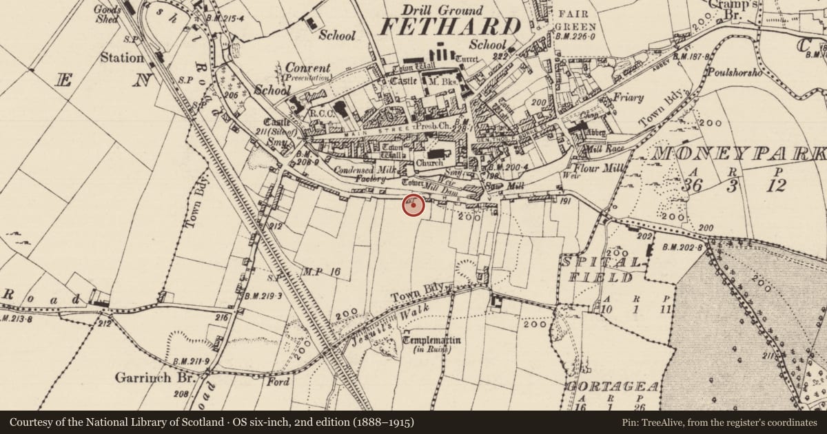 Ordnance Survey six-inch map, 2nd edition (1888–1915) covering the location of Architectural fragment, Fethard, County Tipperary South, with a pin at the register's coordinates