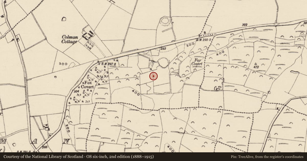 Ordnance Survey six-inch map, 2nd edition (1888–1915) covering the location of Burnt mound, Colman (Hennessy), County Tipperary South, with a pin at the register's coordinates