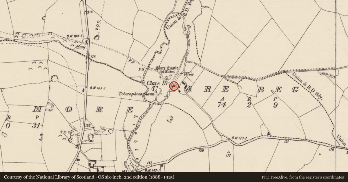 Ordnance Survey six-inch map, 2nd edition (1888–1915) covering the location of Bridge, Clare Beg, County Tipperary South, with a pin at the register's coordinates