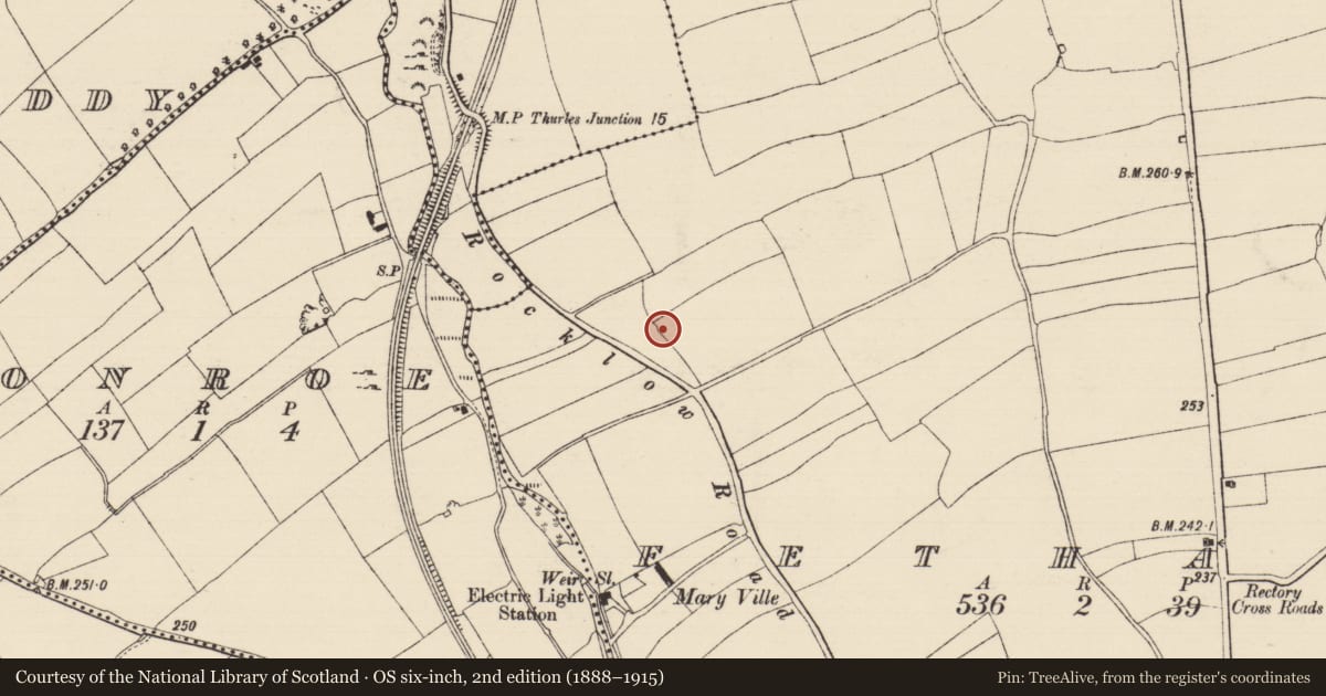 Ordnance Survey six-inch map, 2nd edition (1888–1915) covering the location of Enclosure, Fethard, County Tipperary South, with a pin at the register's coordinates