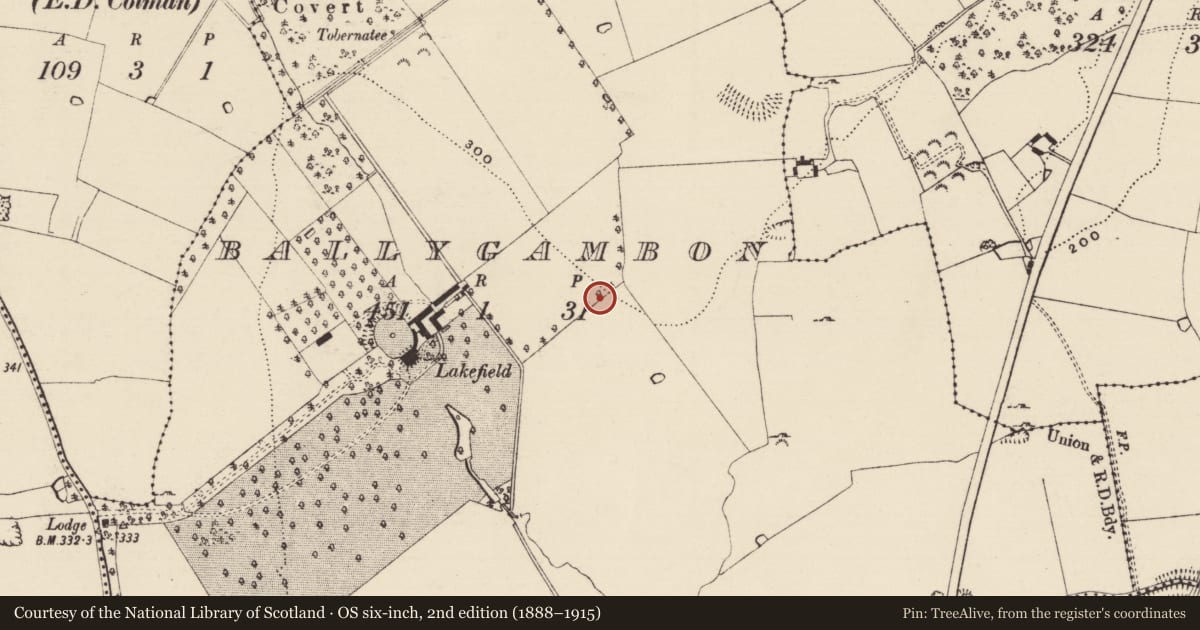 Ordnance Survey six-inch map, 2nd edition (1888–1915) covering the location of Enclosure, Ballygambon, County Tipperary South, with a pin at the register's coordinates