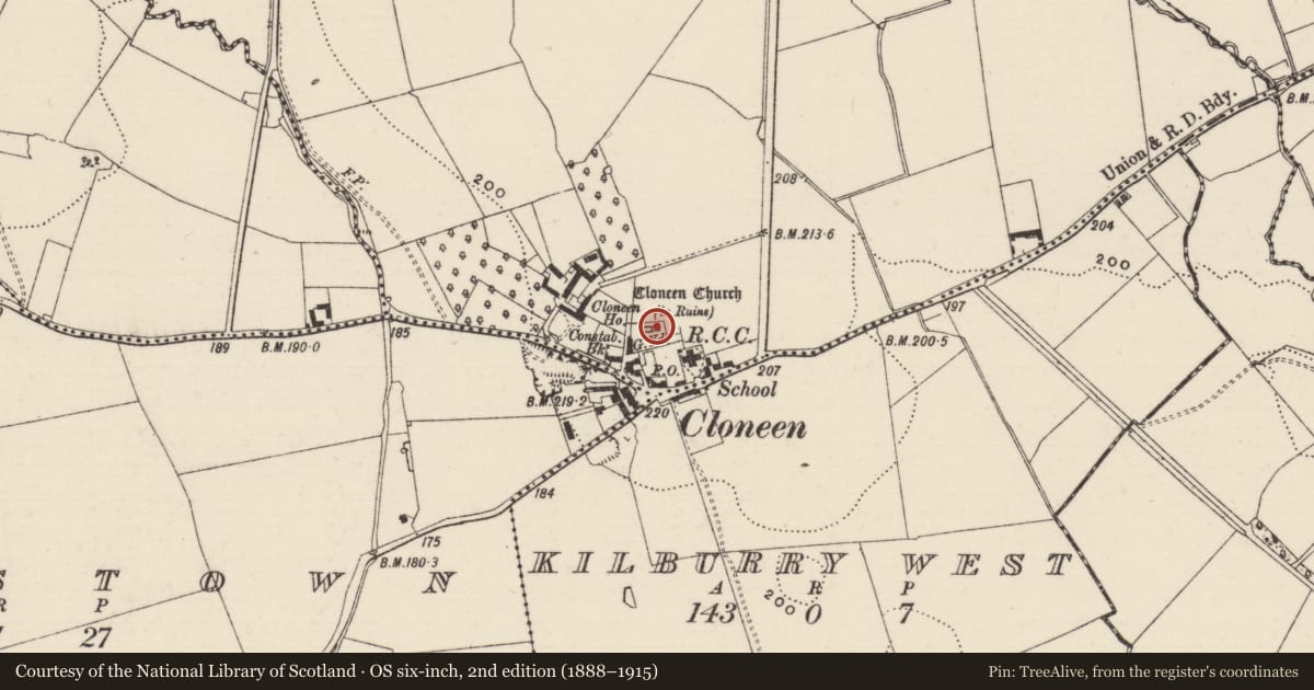 Ordnance Survey six-inch map, 2nd edition (1888–1915) covering the location of Graveslab, Ballyhomuck, County Tipperary South, with a pin at the register's coordinates