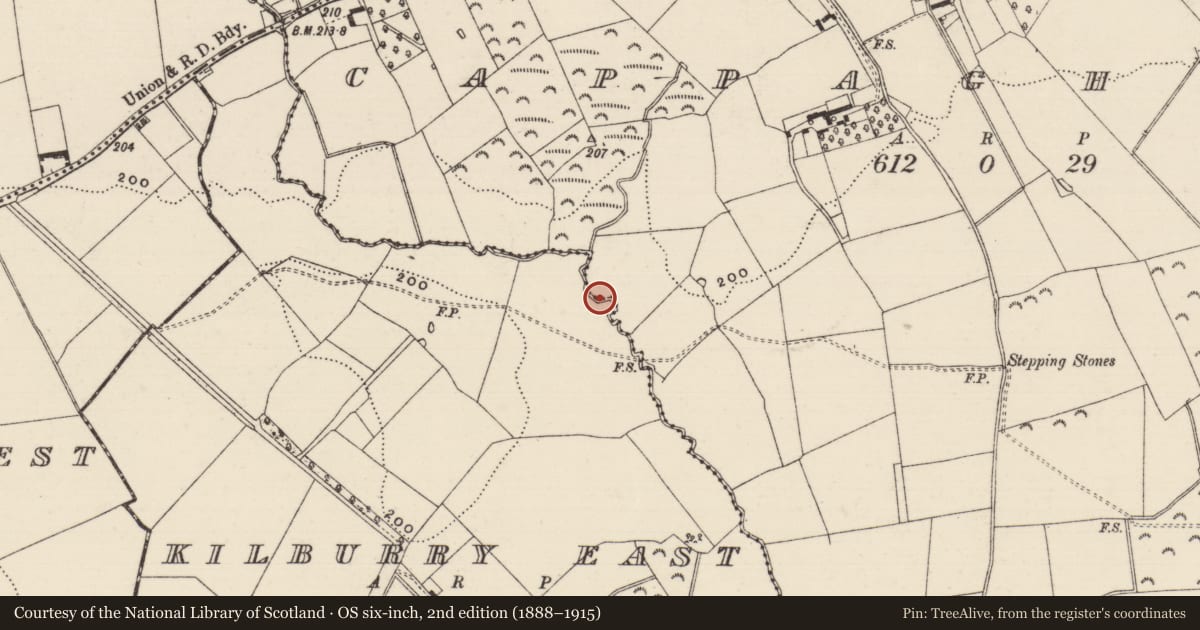 Ordnance Survey six-inch map, 2nd edition (1888–1915) covering the location of Fulacht fia, Cappaghmore, County Tipperary South, with a pin at the register's coordinates