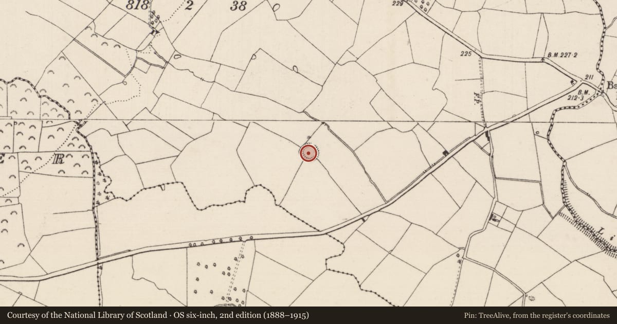 Ordnance Survey six-inch map, 2nd edition (1888–1915) covering the location of Enclosure, Ballycullin, County Tipperary South, with a pin at the register's coordinates