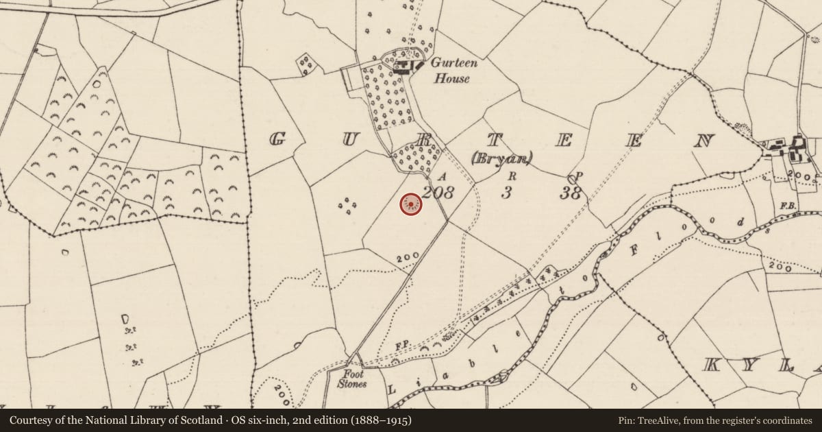 Ordnance Survey six-inch map, 2nd edition (1888–1915) covering the location of Enclosure, Gurteen (BRYAN), County Tipperary South, with a pin at the register's coordinates