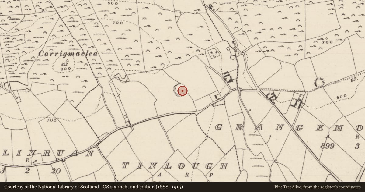 Ordnance Survey six-inch map, 2nd edition (1888–1915) covering the location of Ringfort - rath, Tinlough (Grangemockler Par.), County Tipperary South, with a pin at the register's coordinates