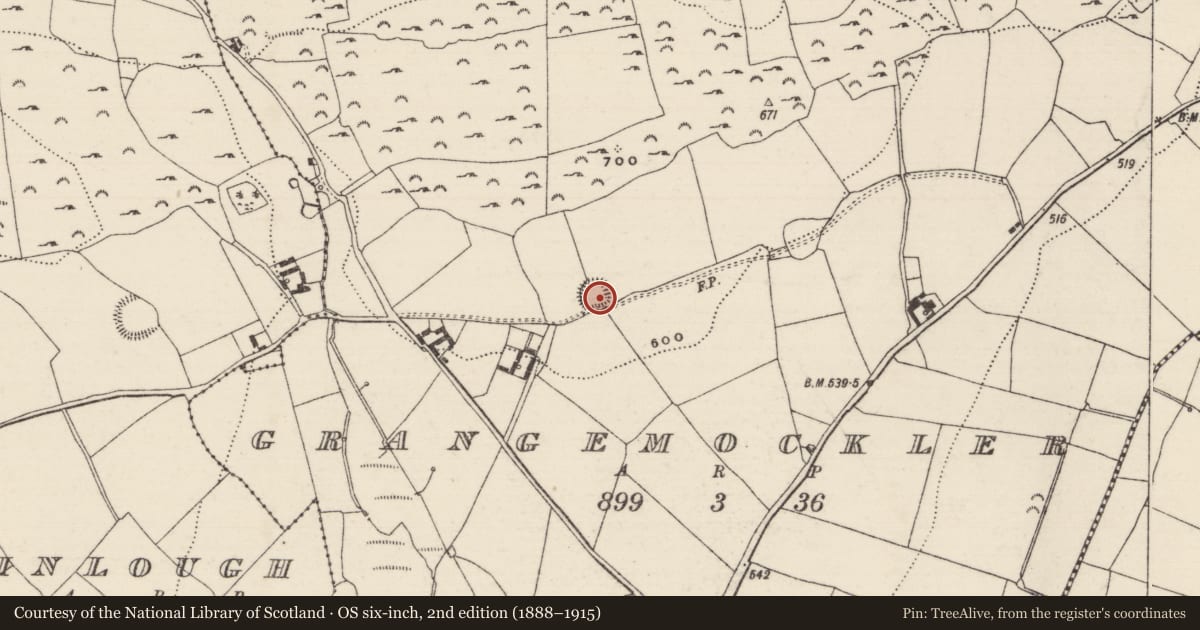 Ordnance Survey six-inch map, 2nd edition (1888–1915) covering the location of Enclosure, Grangemockler, County Tipperary South, with a pin at the register's coordinates