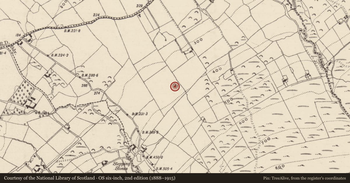 Ordnance Survey six-inch map, 2nd edition (1888–1915) covering the location of Ringfort - rath, Cloran New, County Tipperary South, with a pin at the register's coordinates