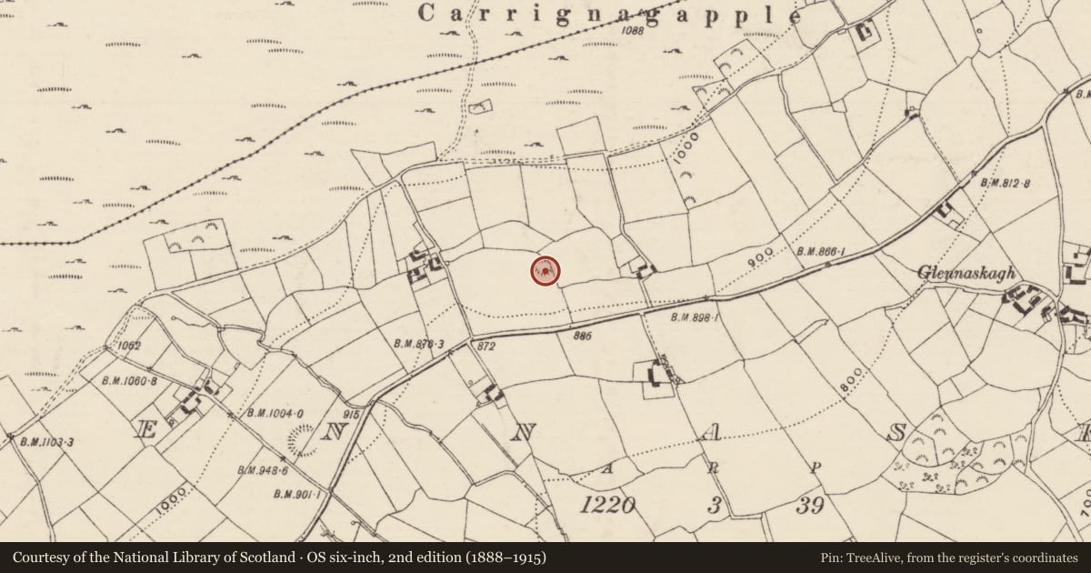 Ordnance Survey six-inch map, 2nd edition (1888–1915) covering the location of Enclosure, Glennaskagh, County Tipperary South, with a pin at the register's coordinates