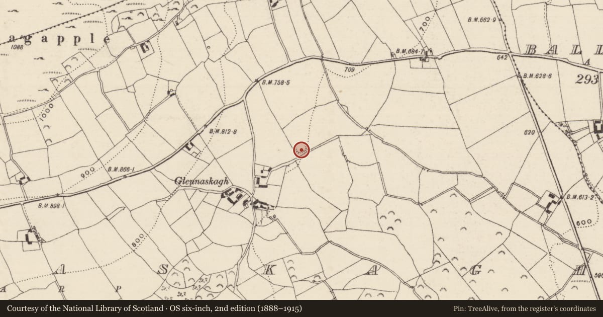 Ordnance Survey six-inch map, 2nd edition (1888–1915) covering the location of Enclosure, Glennaskagh, County Tipperary South, with a pin at the register's coordinates