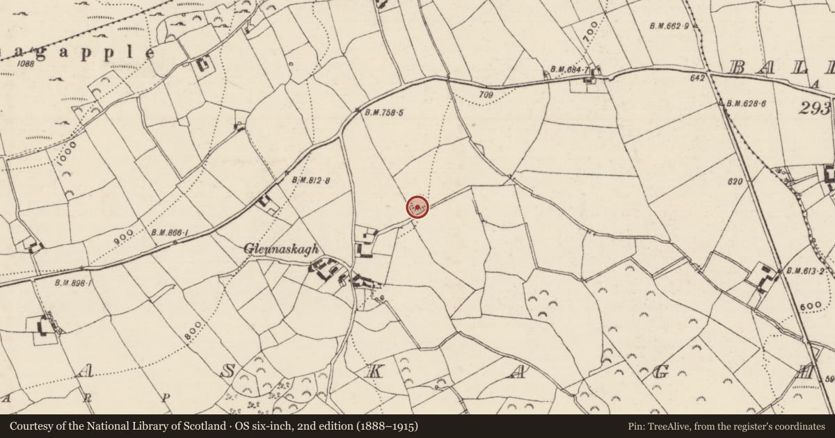 Ordnance Survey six-inch map, 2nd edition (1888–1915) covering the location of Standing stone, Glennaskagh, County Tipperary South, with a pin at the register's coordinates