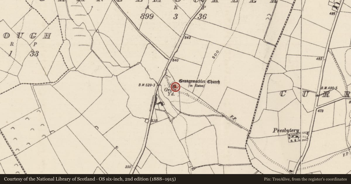 Ordnance Survey six-inch map, 2nd edition (1888–1915) covering the location of Graveslab, Grangemockler, County Tipperary South, with a pin at the register's coordinates