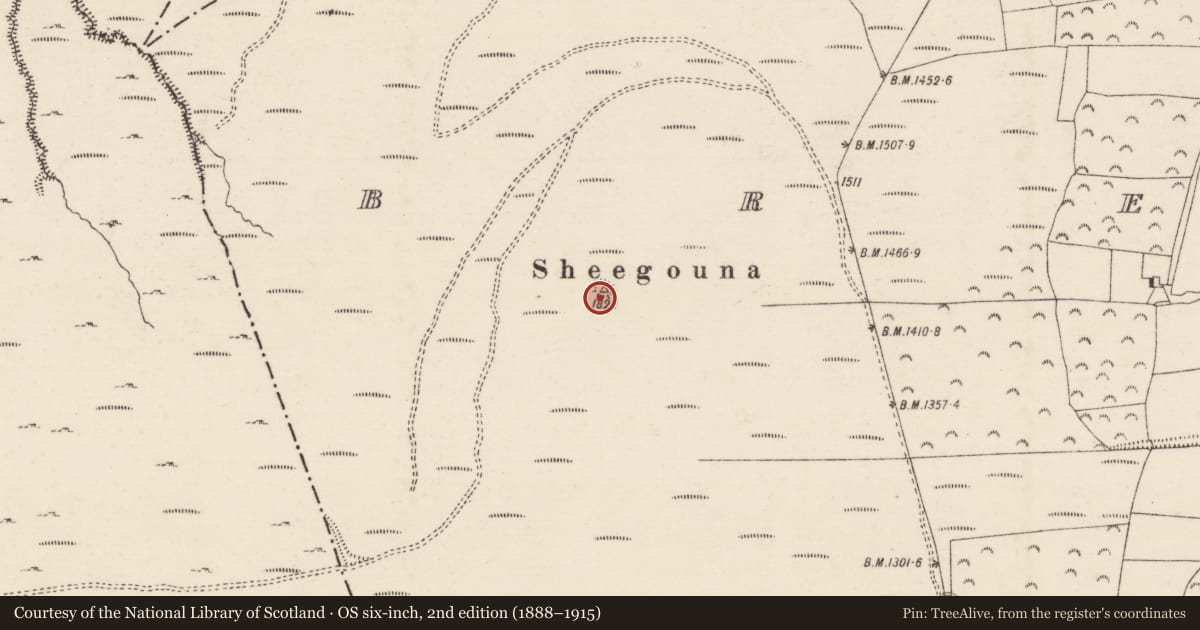 Ordnance Survey six-inch map, 2nd edition (1888–1915) covering the location of Cairn - unclassified, Brenormore, County Tipperary South, with a pin at the register's coordinates