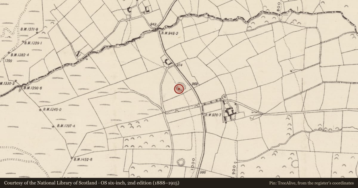 Ordnance Survey six-inch map, 2nd edition (1888–1915) covering the location of Ringfort - rath, Brenormore, County Tipperary South, with a pin at the register's coordinates