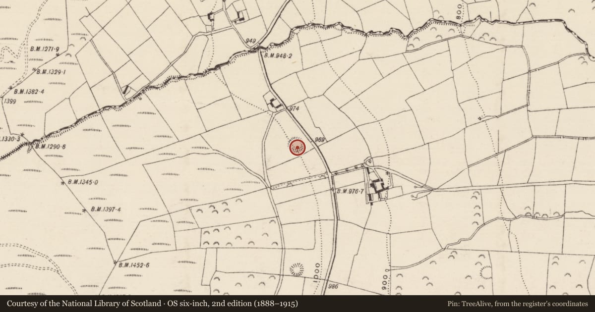 Ordnance Survey six-inch map, 2nd edition (1888–1915) covering the location of Souterrain, Brenormore, County Tipperary South, with a pin at the register's coordinates