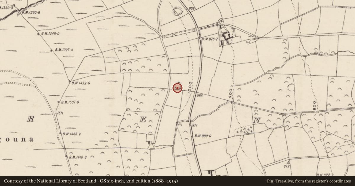 Ordnance Survey six-inch map, 2nd edition (1888–1915) covering the location of Ringfort - rath, Brenormore, County Tipperary South, with a pin at the register's coordinates
