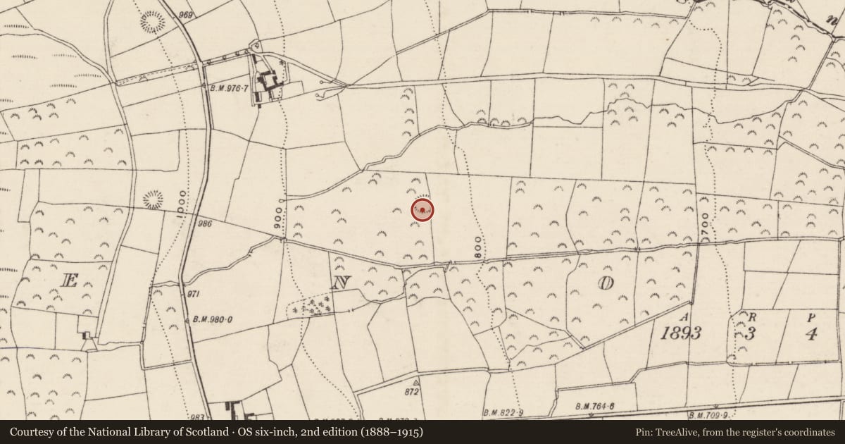 Ordnance Survey six-inch map, 2nd edition (1888–1915) covering the location of Enclosure, Brenormore, County Tipperary South, with a pin at the register's coordinates