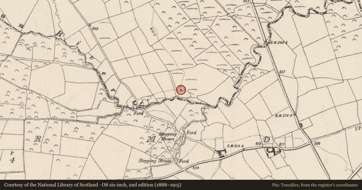 Ordnance Survey six-inch map, 2nd edition (1888–1915) covering the location of Enclosure, Glennaskagh, County Tipperary South, with a pin at the register's coordinates