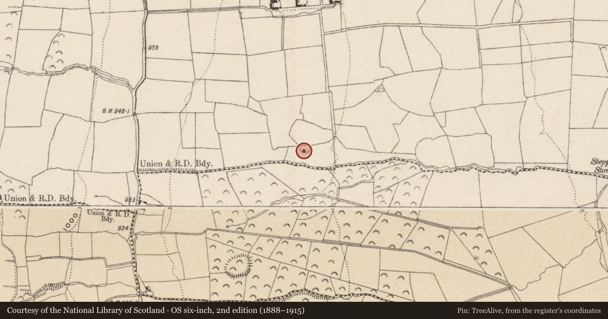 Ordnance Survey six-inch map, 2nd edition (1888–1915) covering the location of Enclosure, Brenormore, County Tipperary South, with a pin at the register's coordinates