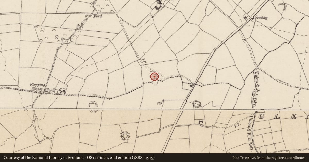 Ordnance Survey six-inch map, 2nd edition (1888–1915) covering the location of Enclosure, Tullohea, Brenormore, County Tipperary South, with a pin at the register's coordinates