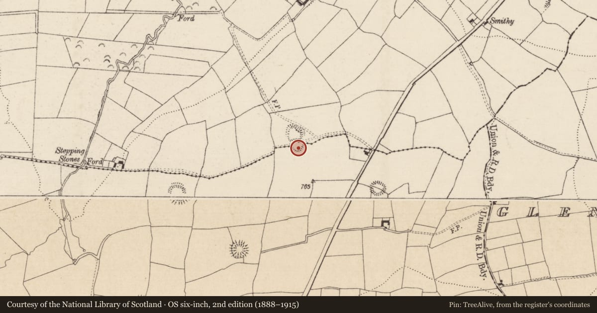 Ordnance Survey six-inch map, 2nd edition (1888–1915) covering the location of Enclosure, Brenormore, Tullohea, County Tipperary South, with a pin at the register's coordinates
